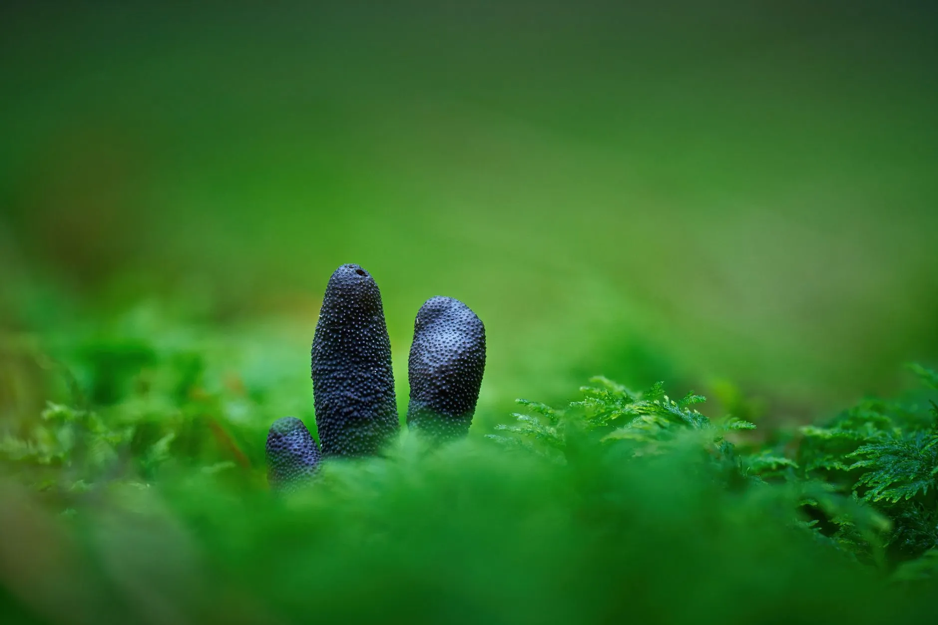 运营优化驱动企业管理效能提升的路径与实践
