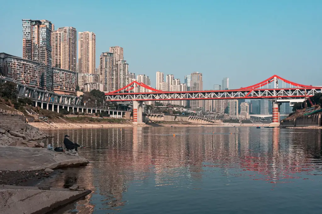 企业运营优化与内控体系建设：北京佑熙财务咨询的管理效能提升路径