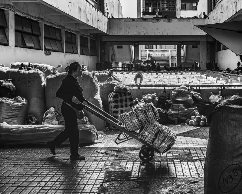 2025年企业管理内控体系建设新趋势与合规要点分析