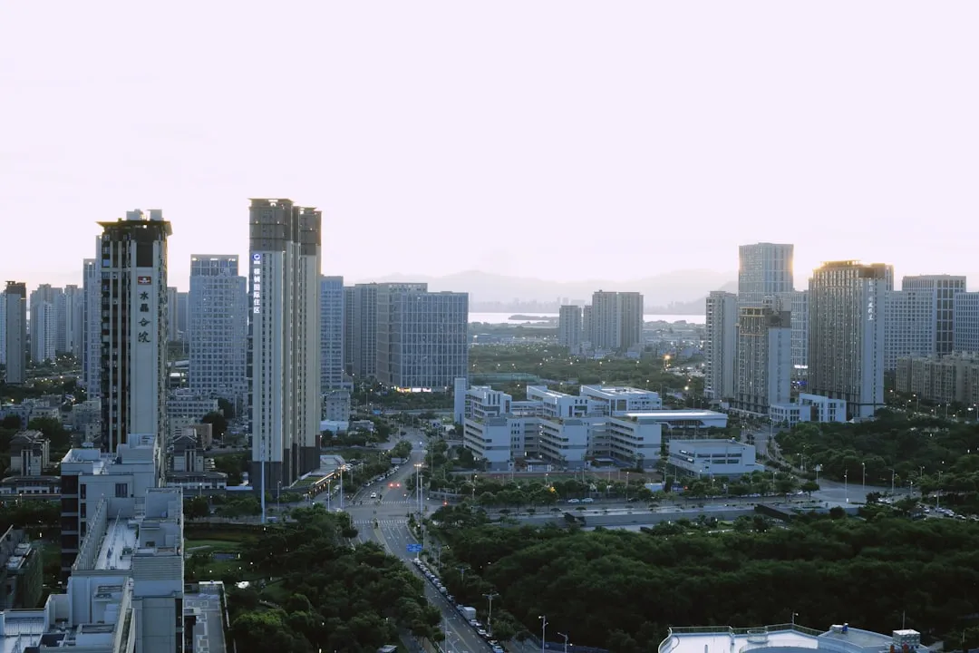 2024年企业管理与财务咨询服务的市场趋势洞察